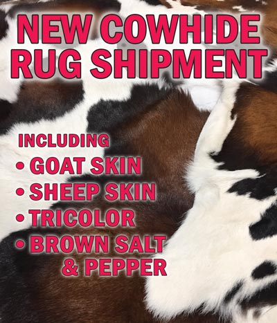 New Shipment of Brazilian Cowhide Rugs including New Goat Skin, Sheep Skin, Tricolor Cowhide, and Brown and White Salt and Pepper Cowhide Rugs. Hurry in for best selection.