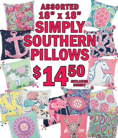 Special Buy Assorted 18 inch by 18 inch Simply Southern Pillows in a variety of patterns, $14.50 includes insert.