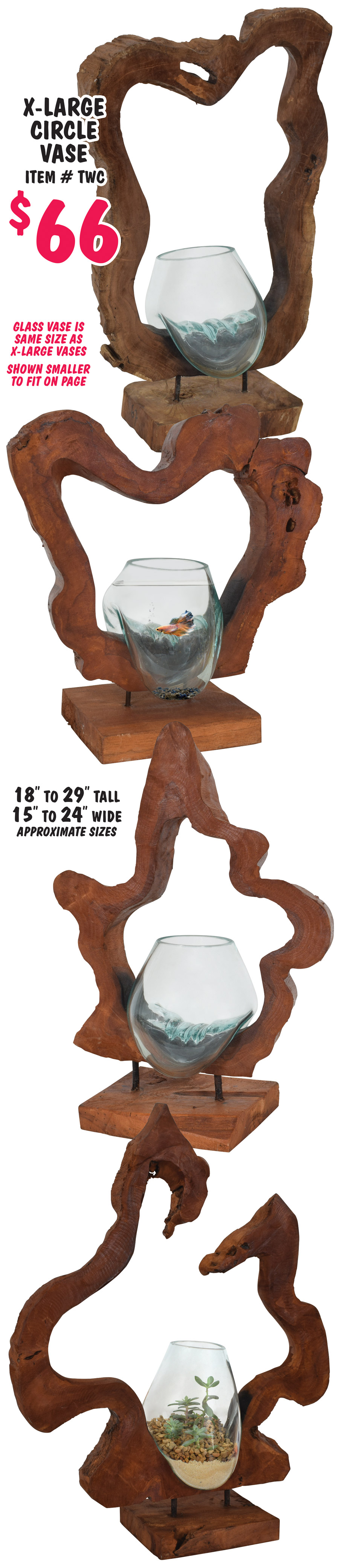 Molten Glass and Reclaimed Teak Wood Vases. Our artisans in Bali handcraft each piece, transforming glass and wood into these unique and naturally sculpted works of art. The molten glass is poured over the roots, custom fitting around the wood, then quickly and carefully blown and shaped into its own organic, captivating form as it sits perfectly in its root base. No two are exactly alike and can be used as a terrarium, a bowl for treasures, a vase for cut flowers, a fish bowl or as a stand alone tabletop accent. 4 sizes medium, extra large, extra large with blue glass, and circle vase. Medium Vase $29, item number WGM, compare online at Viva Terra for $89 - 8 to 10 inches tall, 5 and a half to 9 inches wide, approximate sizes. Extra Large Vase $66, item number WGL, compare online at World of Décor for $479.50, 18 to 23 inches tall, 11 to 17 inches wide, approximate sizes. Because of the unique nature of these products, styles sizes, and colors will vary from store to store.