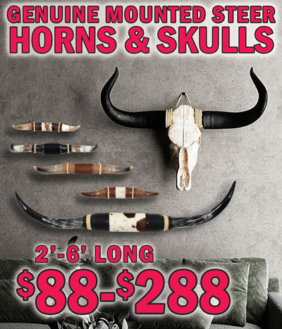 Genuine Mounted Steer Horns and Skulls, 2 feet to 6 feet long, $88 to $288. Steer horns create a dramatic focal point that embodies the spirit of the American West. Each horn is unique, showcasing the distinct curves, colors, and natural imperfections that make them truly one-of-a-kind. Small mounted horns $88, 2 feet long, item number MHSM. Medium mounted horns $188, 4 feet long, item number MHMD. Large mounted horns $248, 5 feet long, item number MHLG. Extra large mounted horns $288, 6 feet long, item number MHEX. Skulls with regular horns $198, 4 feet to 4 and a half feet long, item number CHSSM. Skulls with large horns $248, 5 feet to 6 feet long, item number CHSLG. Styles, colors, and sizes may vary by store. Add iconic Western flair to your Southwestern-themed or farmhouse-inspired home, ranch-styled decor, or modern rustic interiors. Display prominently above a fireplace, in an entryway, or as the centerpiece of a wall in your home, office, lobby, restaurant, or lodge. Mount to the hood of your car and you’ll never lose your car in a parking lot again.