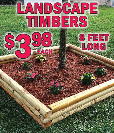 8 foot long pine Landscape Timbers $3.98 each, 2 inches by 5 inches by 8 feet, item number 358LST. Environmentally friendly untreated natural wood. Great for tiered gardens, raised flower beds, edgers, retaining walls, and landscaping steps.